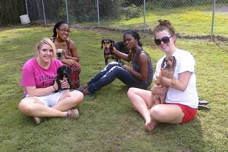Volunteers with dogs