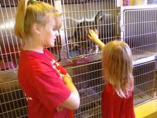 Brooke watching girl pet kitten