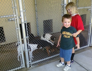 Kids enjoying meeting shelter dogs