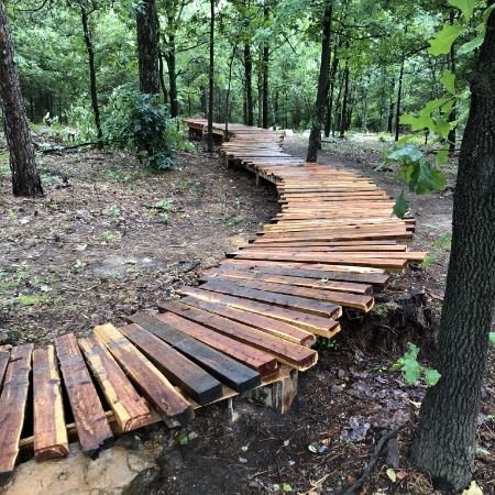 Wood trail